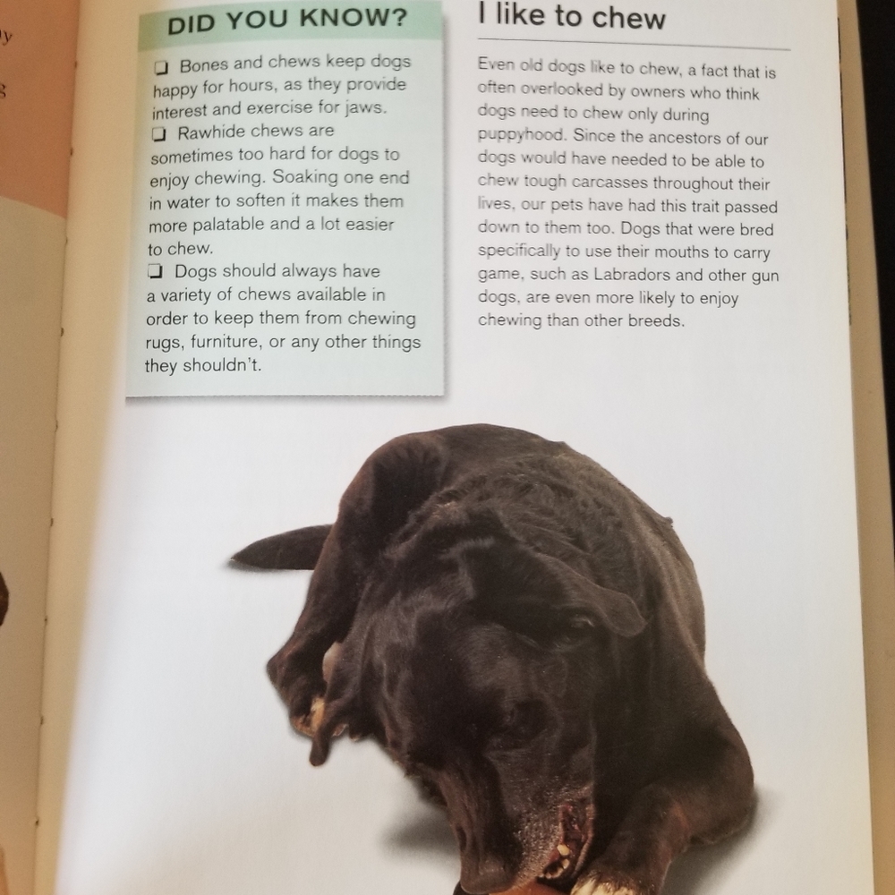 Dog Book - Picture 9 of 14
